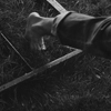 FROM NORTH STORY